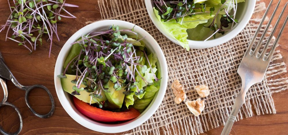 สลัดไมโครกรีนจาก Dr.Sprouts ฟาร์มของเอ็กซ์ทิโก้